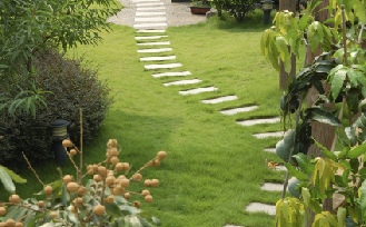 Gallery - sixth image shows manicured grass area with stepping stones across