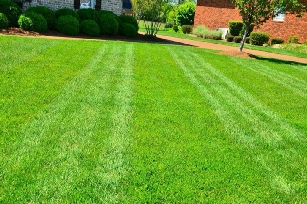 Gallery - second image shows manicured grass area