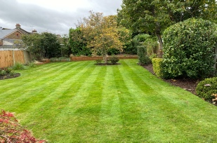 Gallery - shows manicured grass area