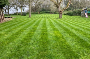 Gallery - fourth image shows manicured grass area